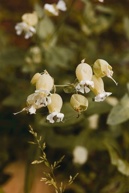 overactive bladder diet pdf overactive bladder diet pdf